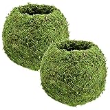 Arcadia Garden Products KO02 Kokedama-6.5 x 5.9”, Set of 2, Green
