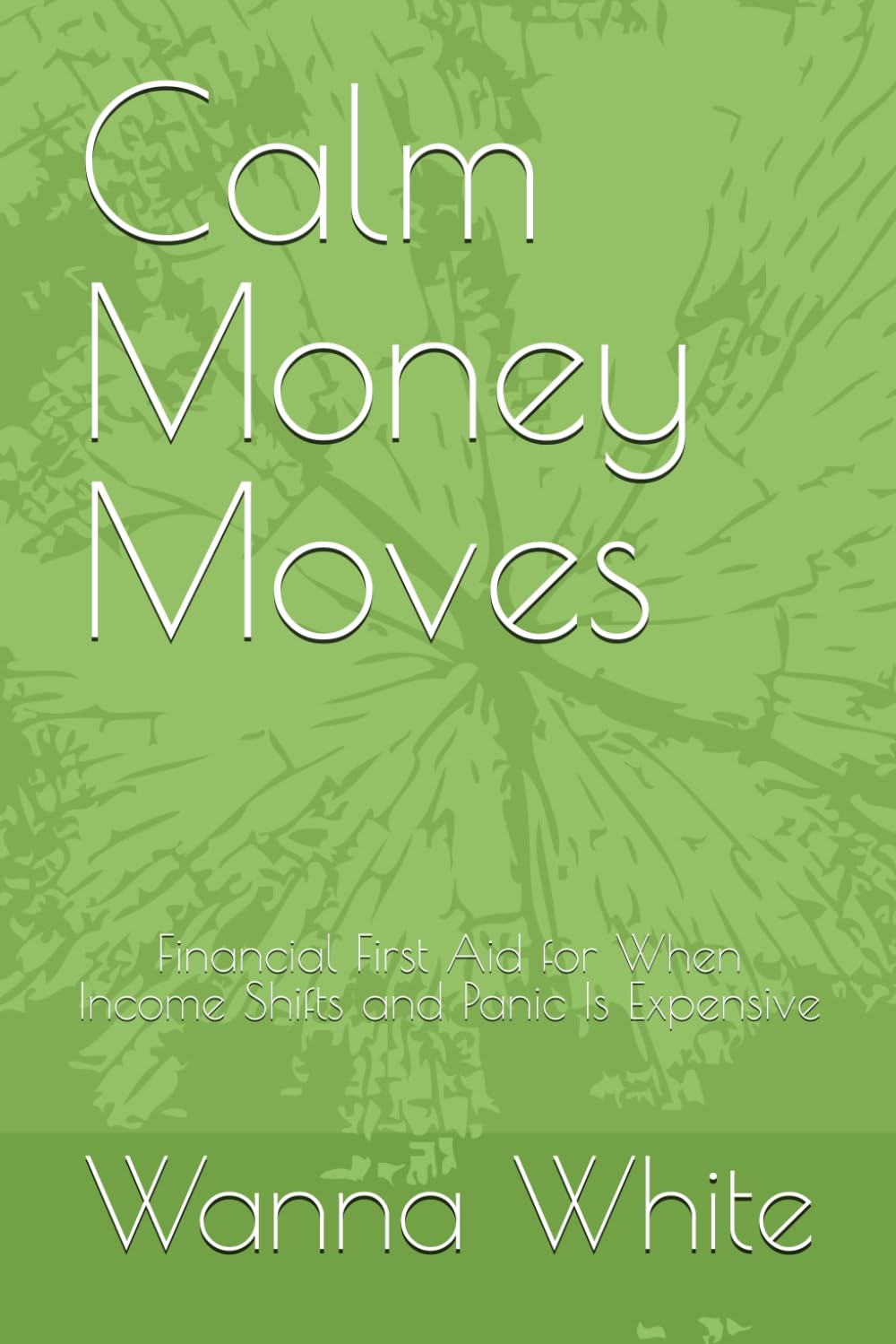 Calm Money Moves: Financial First Aid for When Income Shifts and Panic Is Expensive