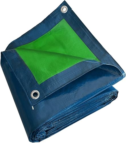 Bâche de Protection 6x10 m SR150MU Bleue et Verte TECPLAST