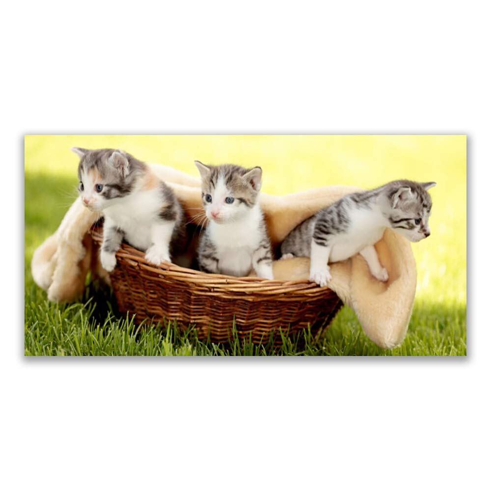 Tableau chat impression sur verre trempé Tulup 140x70cm pour remplacer les toiles ternes