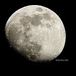 Review Image by Milton Milne