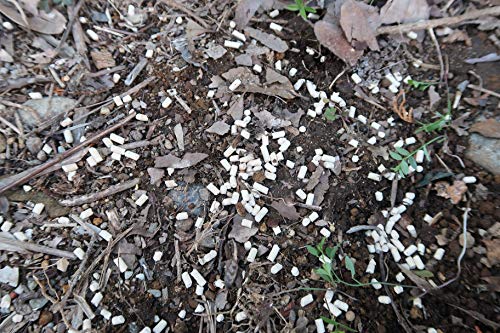 住友化学園芸不快害虫殺虫剤ナメ退治ベイト330g 家装及园艺 园艺 防虫用品 Whenbuy Jchere Com