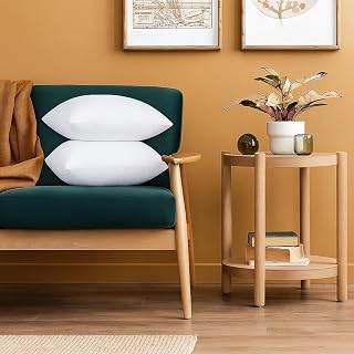 Torque Microfiber Cushion Filler 16 x 16 Inch Vacuum Packed Throw Pillows Filler Cushion Pillow for Sofa Bed Couch Home Decorative - Pack of 2