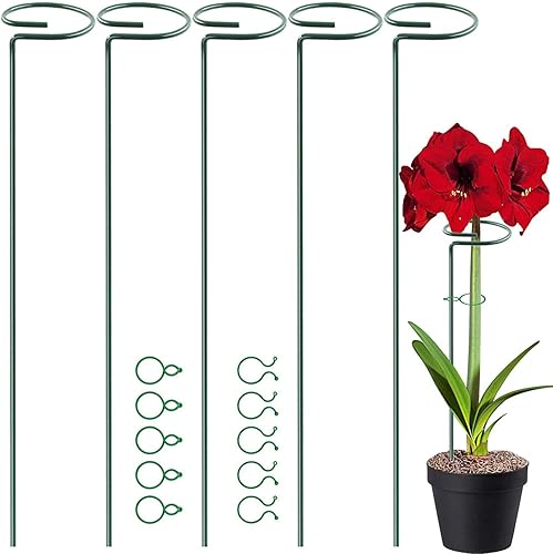 HiGift Estacas de soporte para plantas de 17 pulgadas de grosor, 0.157 in de grosor, para jardín, con un solo tallo, amarilis, jaula de plantas con