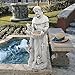 Design Toscano Nature's Nurturer Francis Assisi Religious Garden Decor Statue Bird Bath Feeder, Large, 37 inch, Cast Stone Resin, Antique Stone Finish