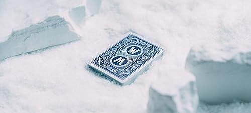 Vista 18 de Bicycle World of Warcraft: The Burning Crusade Edición Especial Premium