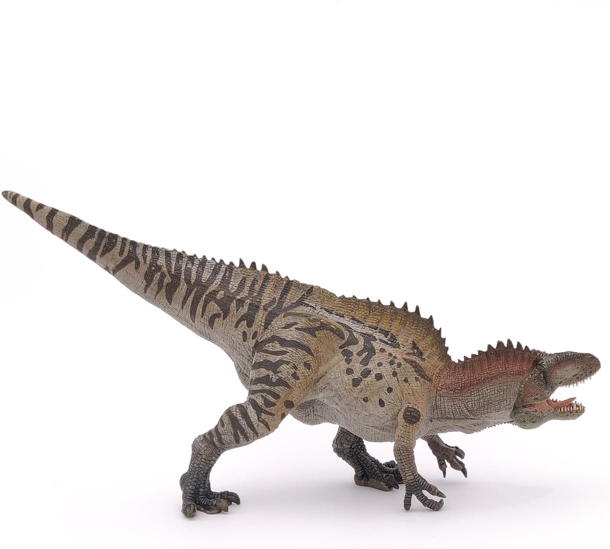 Papo - Acrocanthosaurus - Realistic Figurine - 3 Years Old - Dinosaurs Collection - Hand Painted - Educational Dinosaur Toy - Faithfull Details - 28 cm - Gift Idea - acrocantosaurus Toy