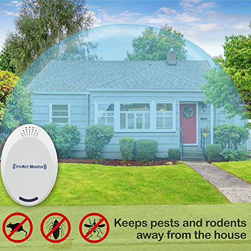 Flea Collar Pet Essential Oil Pest Control Collars Flea and Tick Prevention for Cats Dogs 8 Months Flea Control & Cat Flea Treatment Kitten Collar with Natural Plant Extracts One Size Fits All - Thumbnail 4