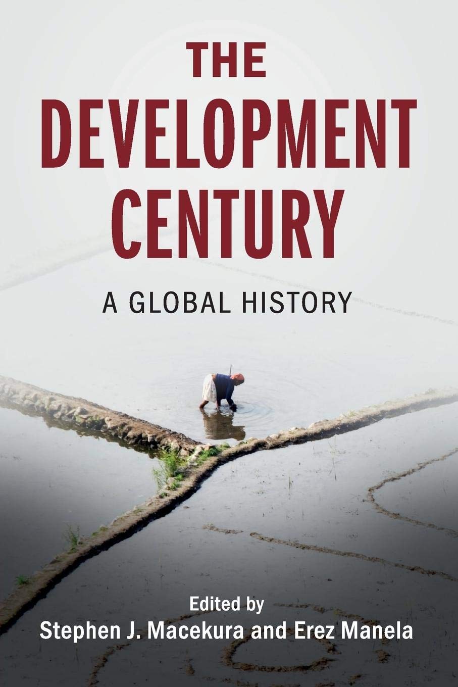 The Development Century: A Global History (Global and International History)