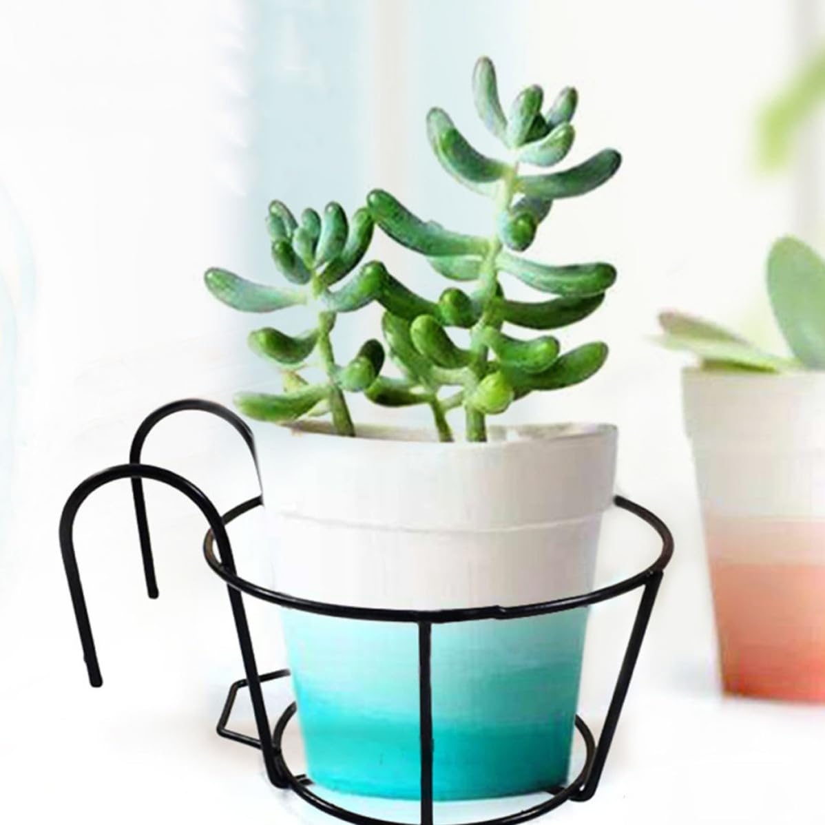 Fioriera rotonda da parete in ferro battuto da 25 cm, elegante supporto da appendere per interni ed esterni, decorazione da giardino e balcone, accessorio durevole per la casa