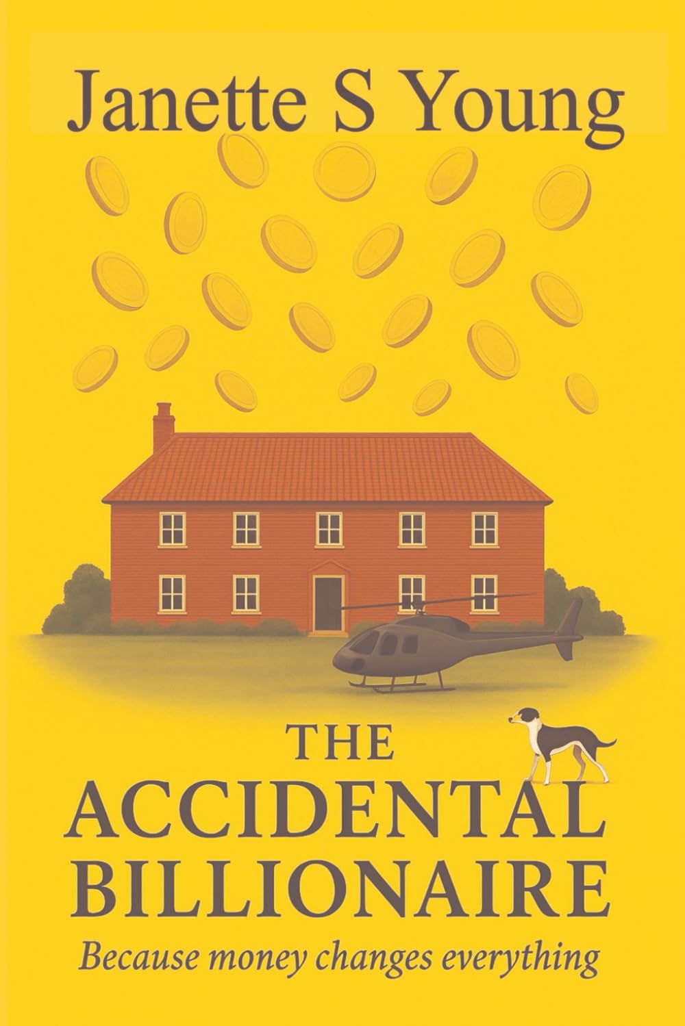 The Accidental Billionaire: Because money changes everything