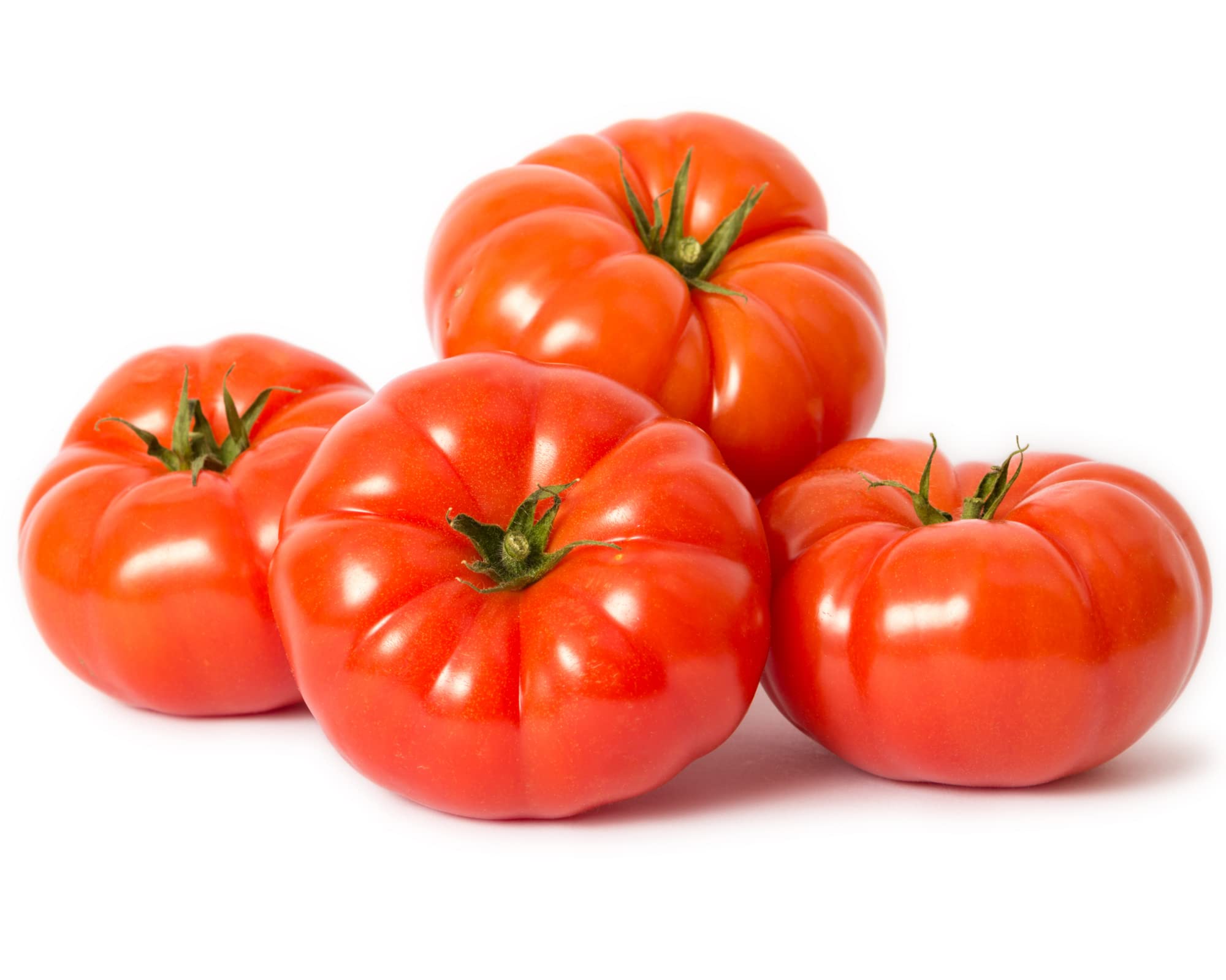 Tomato Plants, 'Beefsteak', 4 x Plug Plant Pack, Tomato Plants Ready to Plant, Tomatoes, Beef Variety, Garden Ready and Ready to Plant, Premium Quality Tomatoes