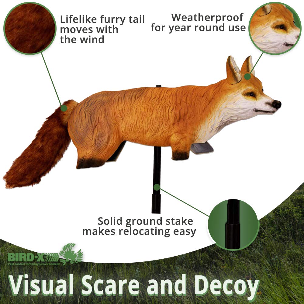 Amazon.com : Bird-X 3D Hunting Fox Predator Decoy - Targets
