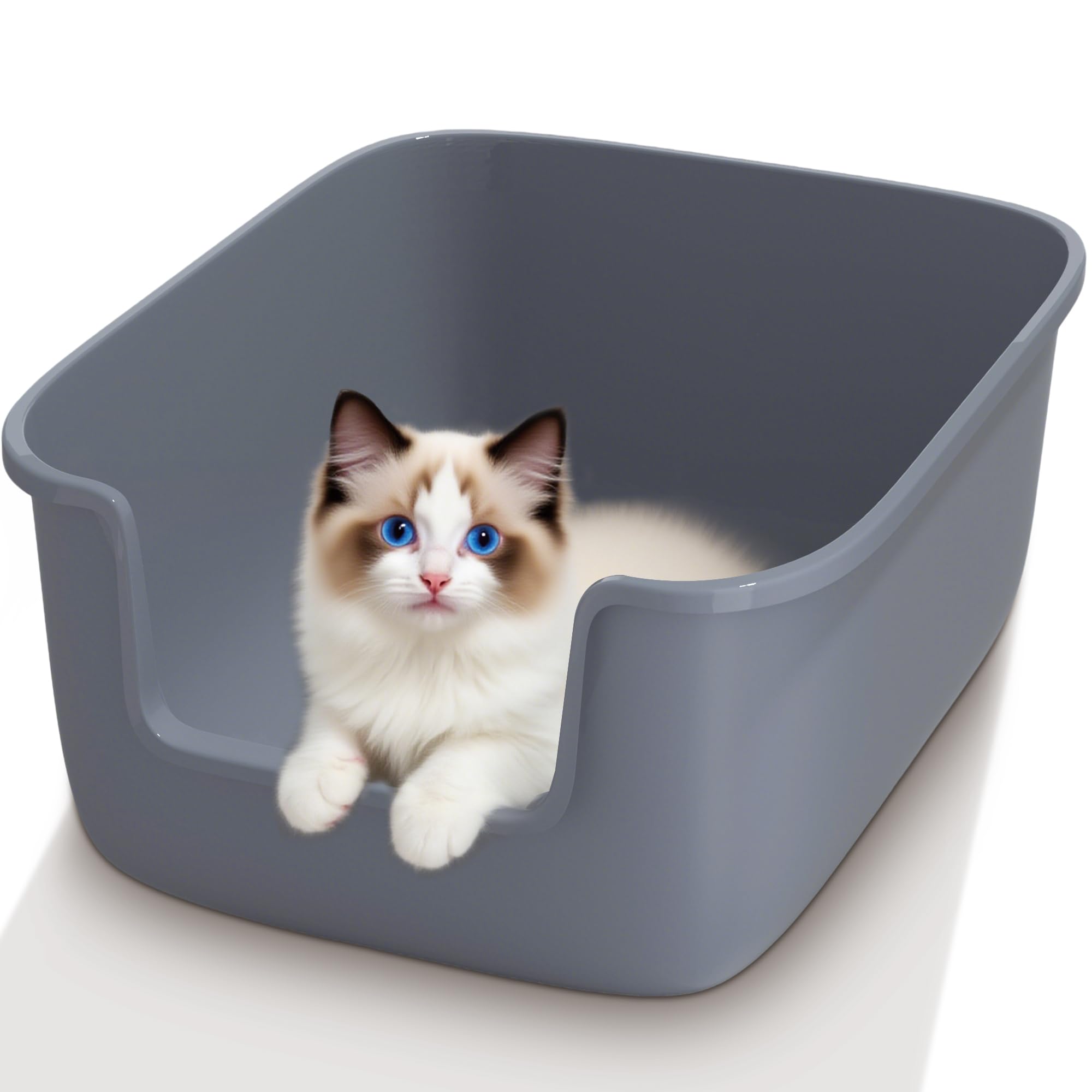 sided small litter box to reduce litter scatter