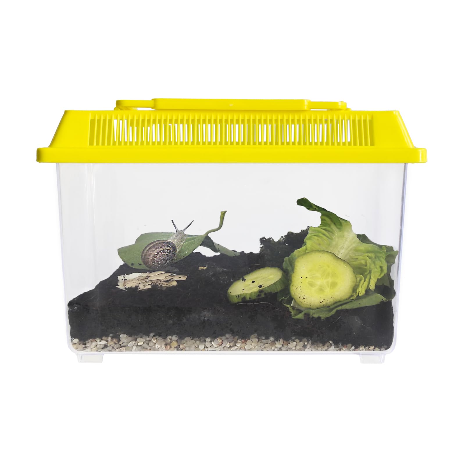 Kit d'observation des escargots, 5 pièces.