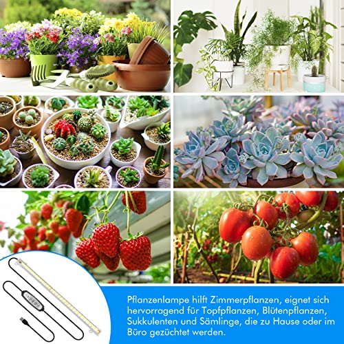 Sondiko LED Pflanzenlampe für Zimmerpflanzen, Vollspektrum Pflanzenleuchte mit 3/9/12H Auto ON & Off Timer, USB-Plug-In mit Strom versorgt, überall bleiben, für Gewächshauspflanzen und Gemüse