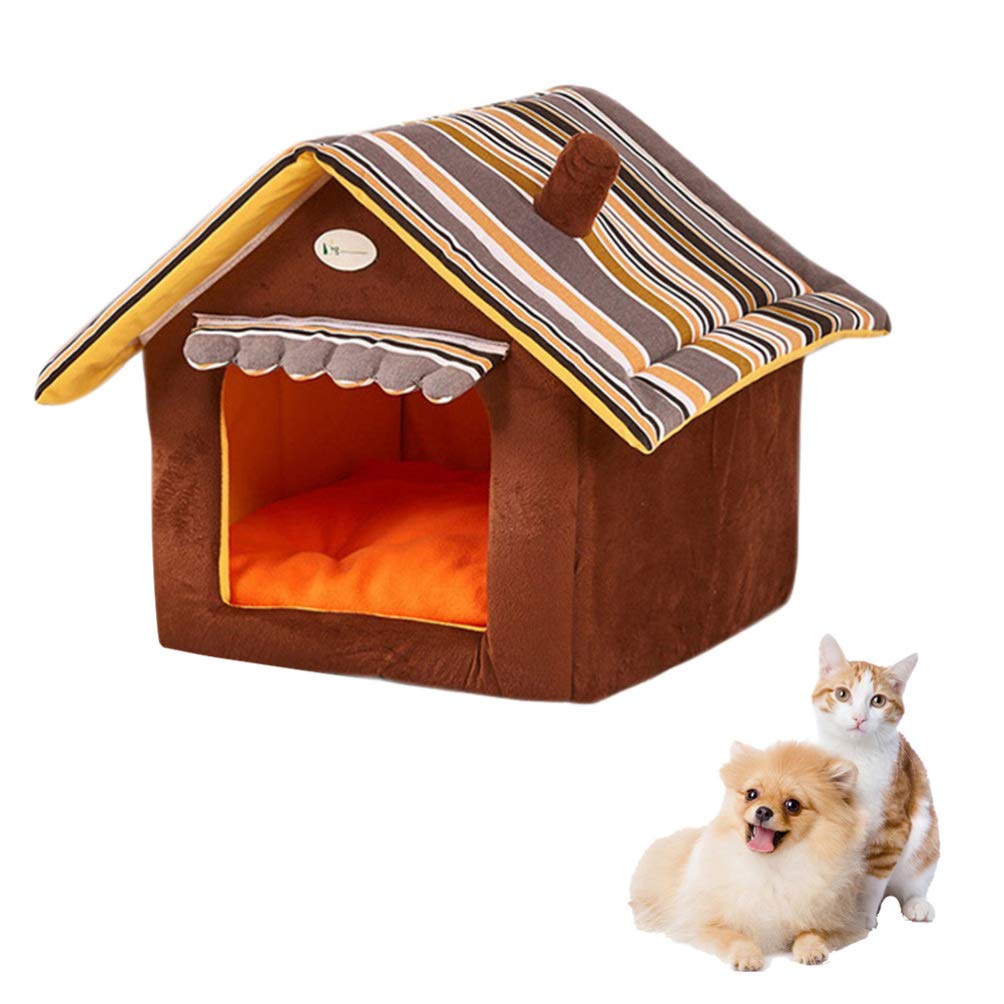 Why Does My Dog Keep Nesting