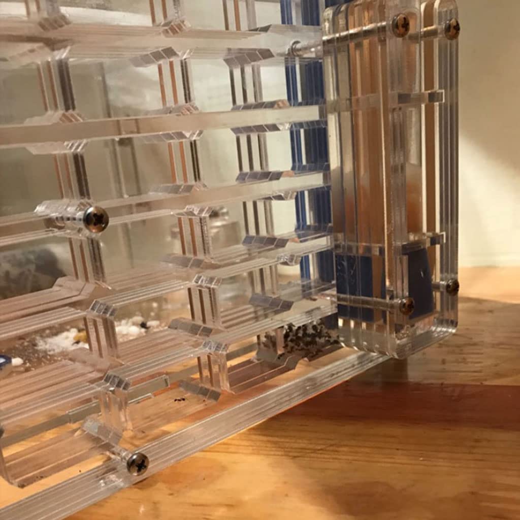 Hormiguero, Hormiguero expandible de acrílico Transparente con área Actividades y Doble Torre Agua 22,5 x 20,3 30,2 Pulgadas