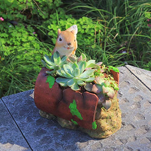 Aivanart Garden Flower Pot Outdoor Planters, Spilled Succulent Plant Pots Squirrel Gardening Gifts For Christmas Sculpture Statues For Patio Yard Balcony #TOP2