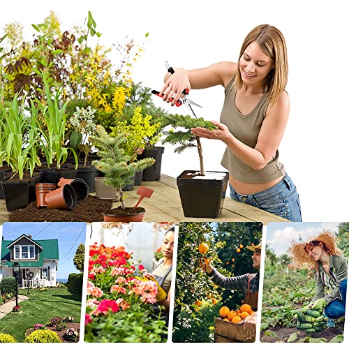 3 peças tesoura de poda de jardinagem podadeira de árvore podadora de jardim tesoura de poda de aço