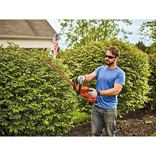 BLACK+DECKER 40V MAX Cordless Hedge Trimmer, 22-Inch (LHT2240CFF)