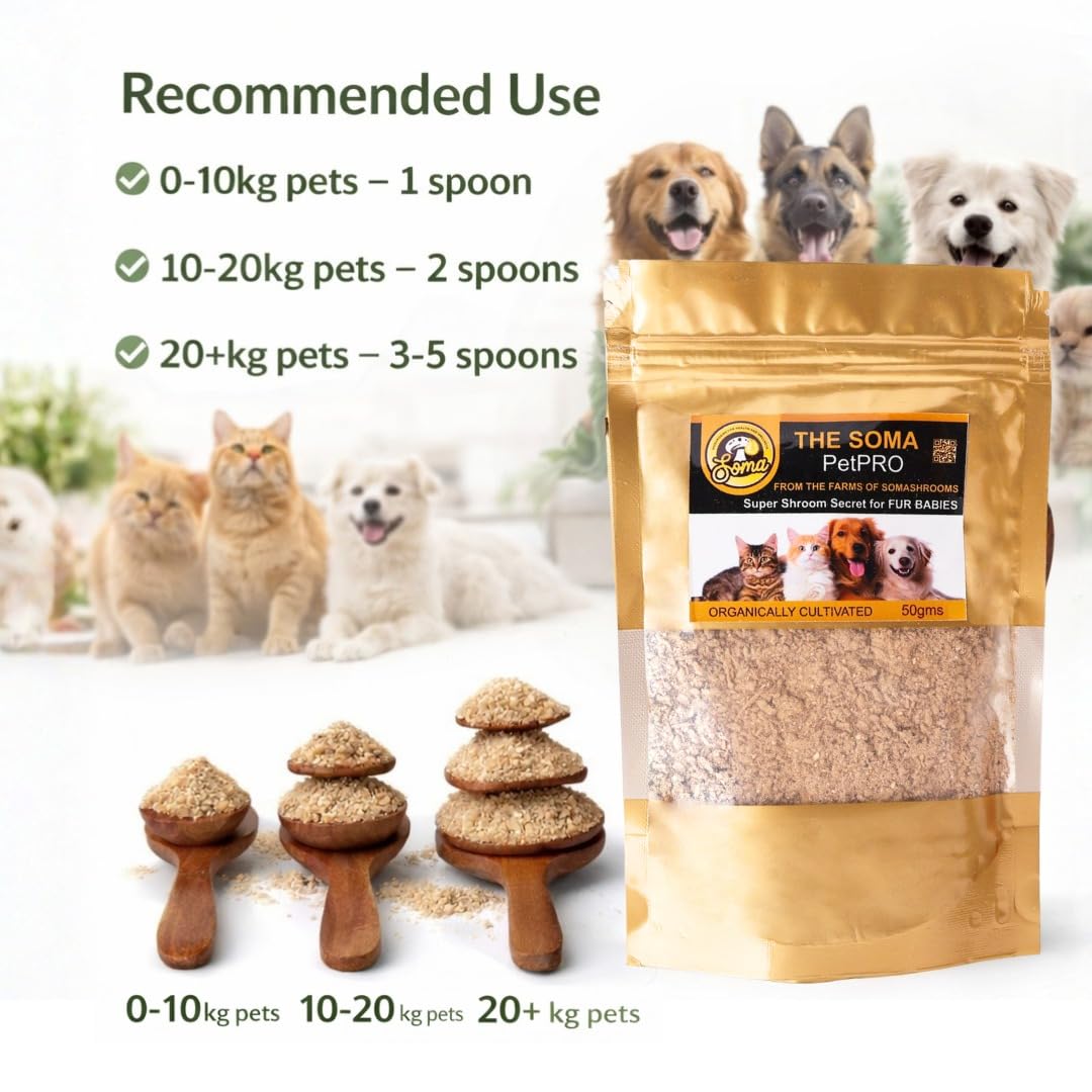 Somashrooms India's First 6-Powerful Shrooms Wellness for Our Fur Babies | Vitality | Canine Nutritionist Approved | Choice of Pet Parents 2