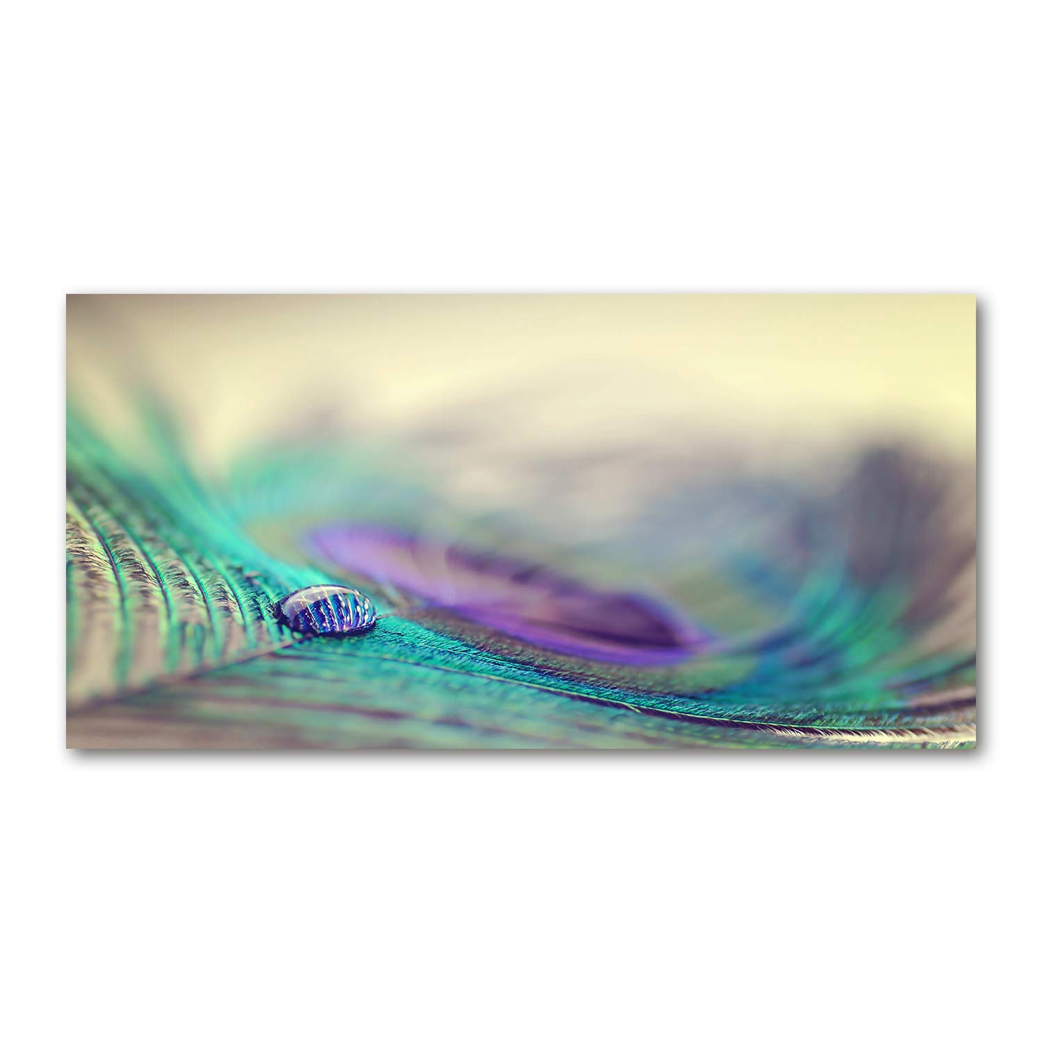 Tableau plexiglas panoramique grand format 120x60 tableau acrylique déco moderne