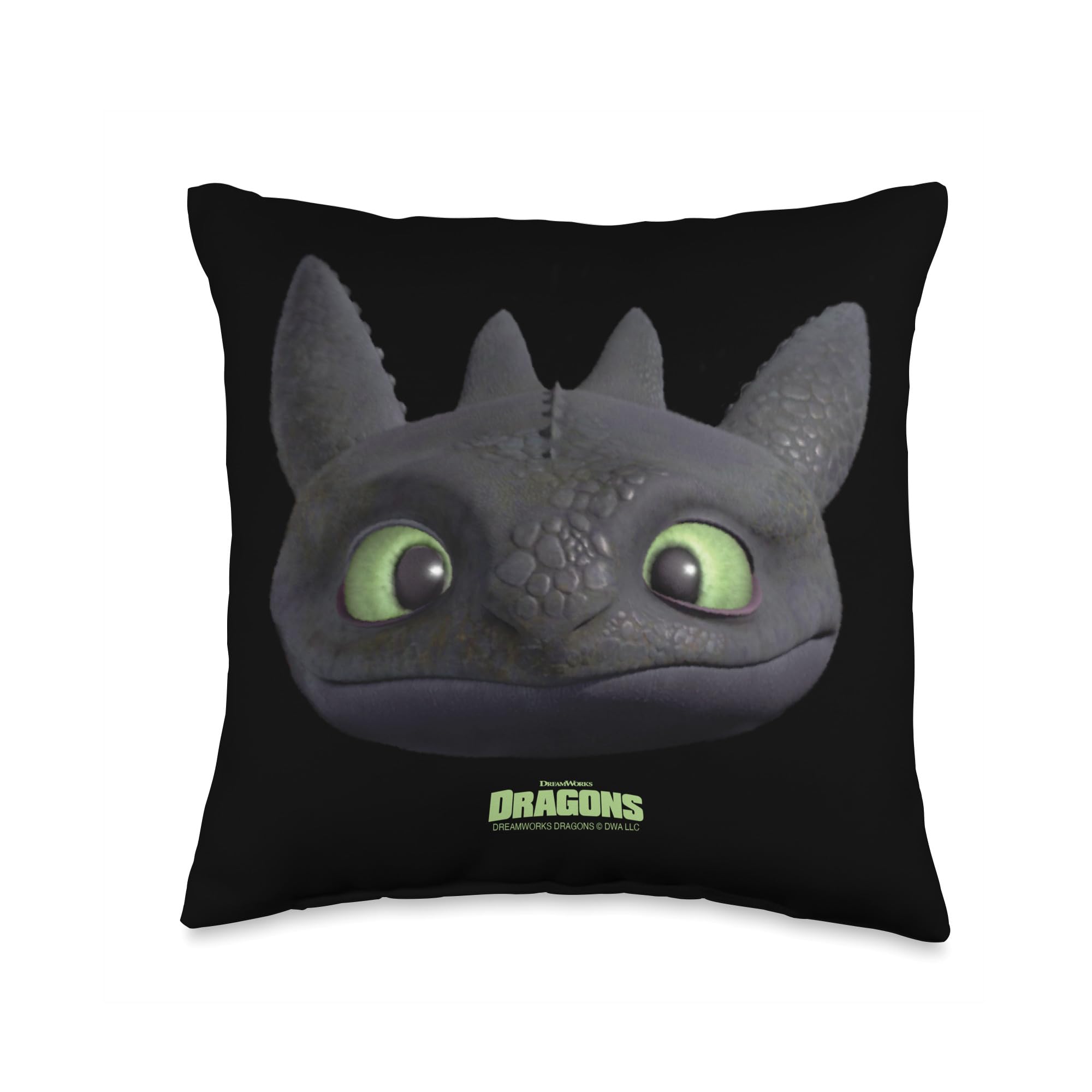 Dreamworks Dragons Toothless Night Fury Big Face Costume 3d 