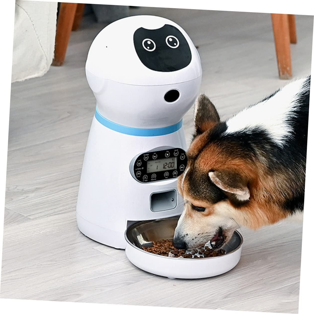 Distributore Automatico Cibo Per Gatti e Cani in Alimentazione Programmabile Con Timer Digitale e Registratore Vocale Usb Pet Feeding Dispenser Intelligente