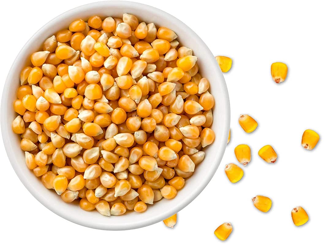 CHATOKDE Natural Popcorn Kernels (Ready to Cook, Unpopped, Original Makkai Seeds), 500g-picture-32