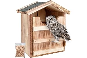 Owl House: The Perfect Homestead for Your Wise Companions