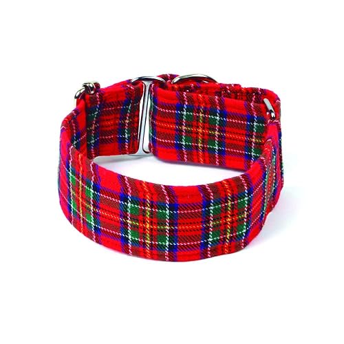 Galguita Amelie Collar Martingale para Perros Escocés (4L)