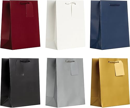 JILLSON & ROBERTS Bolsas de regalo de papel sólido medianas maduras para todas las ocasiones, para Pascua, Día de la Madre, cumpleaños, despedidas