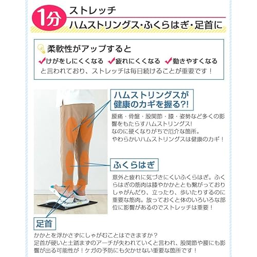 エアロライフ(AEROLIFE) ステッパー モーションナビ DR-3830 の商品画像 4