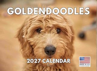 Goldendoodle 日历 2025年 Golden Doodle 月历墙历 12个月 | 美国制造