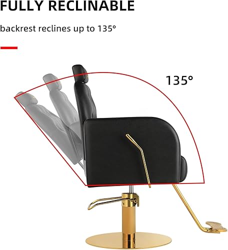 Miniatura 5 de LUXMARS Silla de peluquería hidráulica Silla de peluquería Silla de peluquería Silla de peluquería giratoria de 360 grados, altura ajustable, equipo