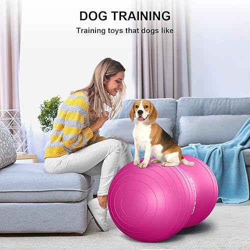 Miniatura 5 de STOROMO Bola de maní, bola de ejercicio de maní, pelota de yoga, bola de embarazo, bola de estabilidad de maní, para terapia de niños, parto de