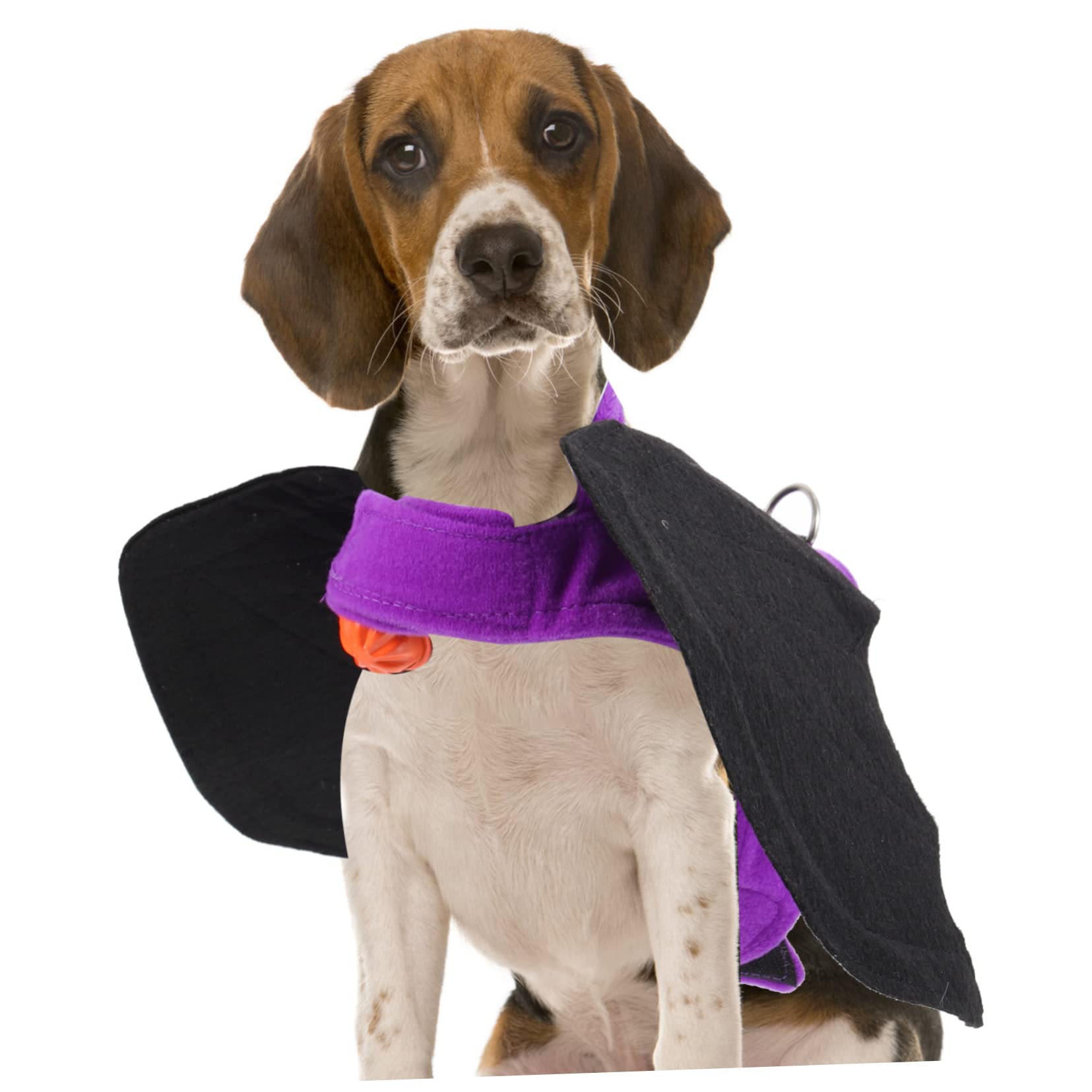 HANABASS 3piezas Disfraz De Halloween para Mascotas Diseño De Murciélago Ropa para Perros y Gatos Vestimenta Divertida para Fiestas y Fotos Campana