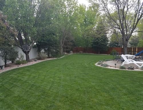 Brownie Brand Blue Devil Kentucky Bluegrass Seed 5lb