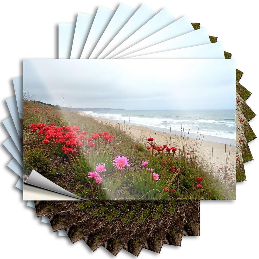 Sticker Bar Accessories Man Cave | Positive Bumper Flowers On A Cliff Overlooking The Ocean. for Billiards(12X18CM)