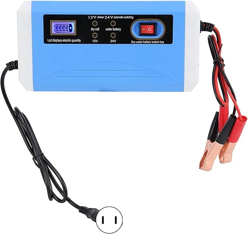 Cargador de batería de coche 24V12V Mantenedor de batería de carga inteligente Cargador de reparación de pulso de transferencia automática con