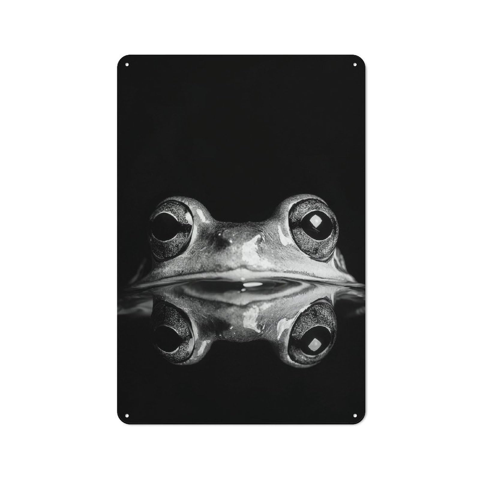 Junmoney Style For Hobby Room Or Studio, Frog Close-Up Black And White Photo Retro Metal Sign 30X20cm, A Decorative Gift For A Newly Furnished Hobby Room And Studio