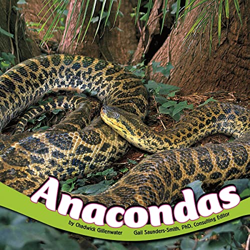 Anacondas | Terry Phillip, Chadwick Gillenwater episode artwork