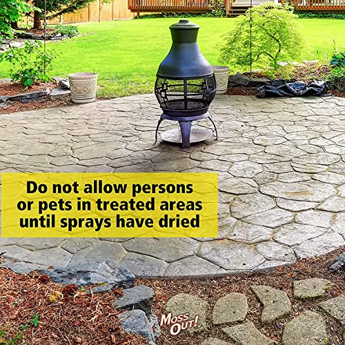 Lilly Miller HMOTDR717049218 100503872 Moss Out Roofs Walks Ready To Spray 27-Oz thumb #5