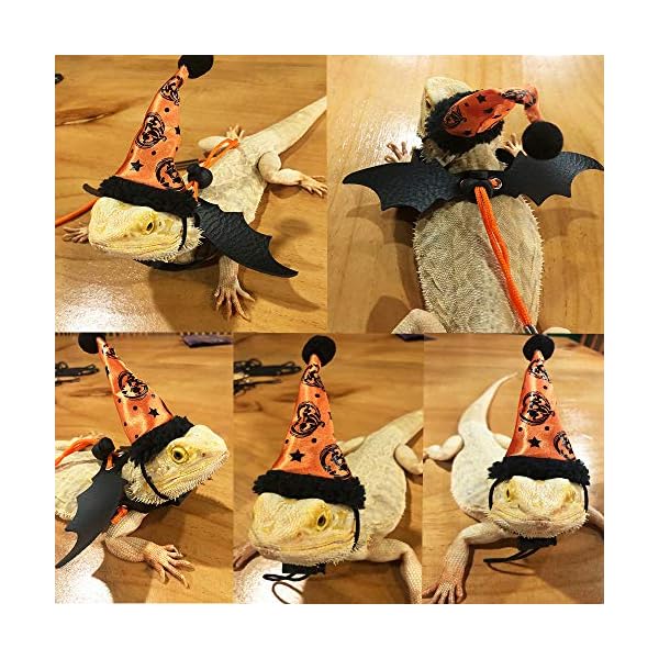 Adoggygo halloween bearded dragon lizard leash harness hat set - bearded dragon clothe halloween pumpkin hat + 3 pack reptile harness leash for bearded dragon lizard reptile (halloween) - image 3