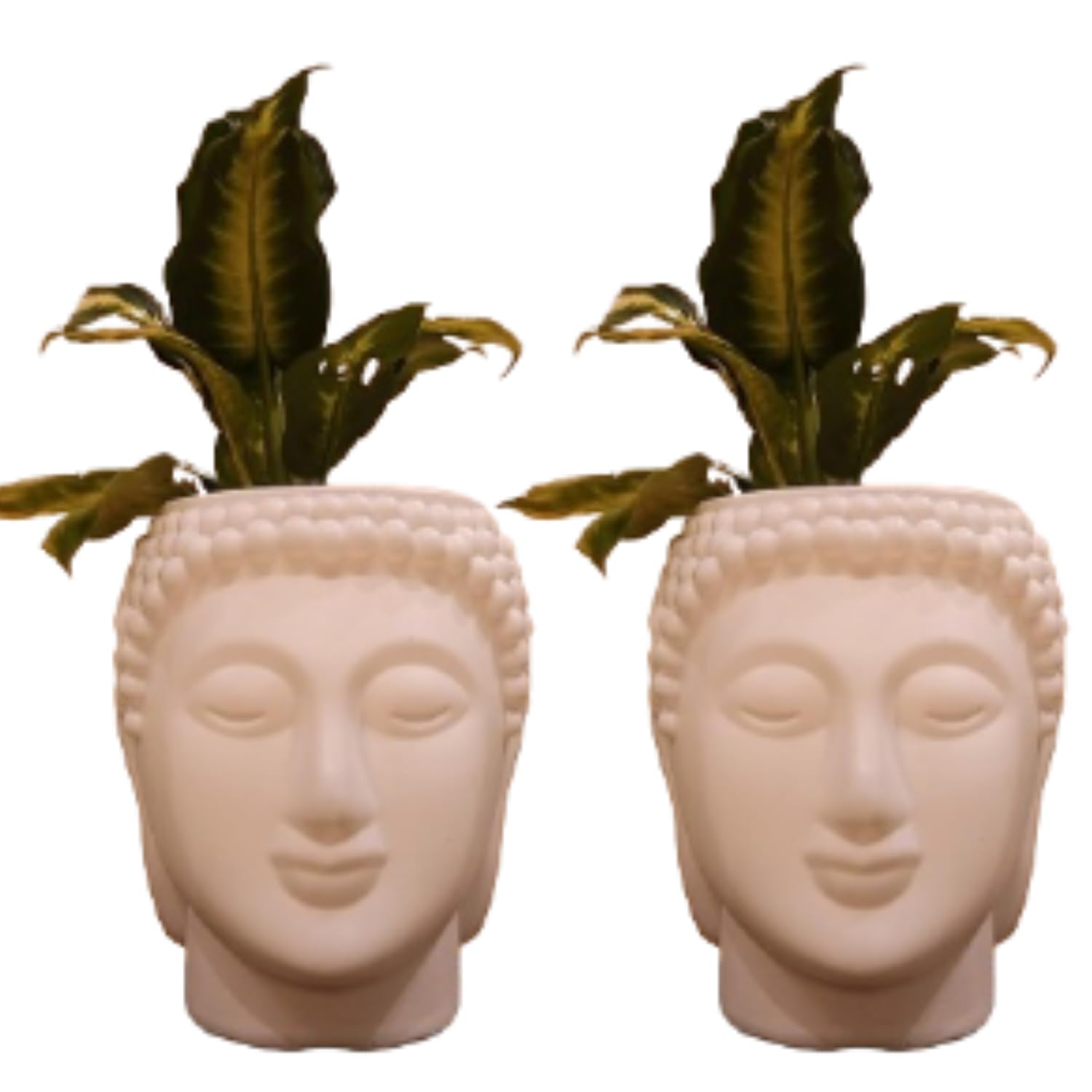 Botanic Bliss Buddha face Plastic Planter Pot [8 inch] | Indoor/Outdoor | [2 Pack] | homedecor for Garden Balcony Living Office | Plant Flower herb Cacti Pot | Gamla/gamle | Big | (White) (B0D9LW8Z2S) Amazon Price History, Amazon Price Tracker