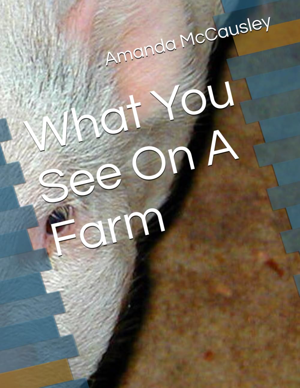 What You See On A Farm