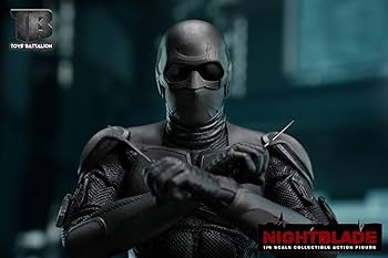 Amazon.co.jp: TOYS BATTALION 1/6 NightBlade 未開封 TB009 検