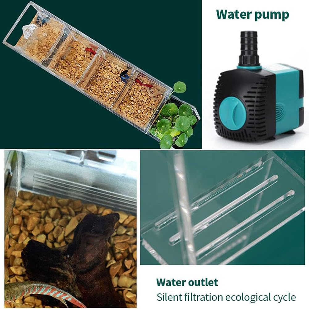 Basta di Pesce Betta con Pompa dell'Acqua, Acquario A Gradini Acrilici, Bosco di Pesce Oro Desktop Trasparente, Moderno Serbatoio di Pesce Betta con Foro di Alimentazione Rimovibile