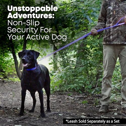 Collier de chien reflechissant robuste anti-mastication bleu
